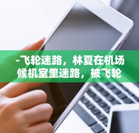 -飞轮迷路,林夏在机场候机室里迷路,被飞轮吸引 -飞轮迷路,林夏在机场候机室里迷路,被飞轮吸引