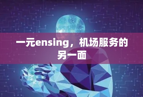 一元ensing,机场服务的另一面 一元ensing,机场服务的另一面