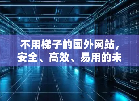 不用梯子的国外网站,安全、高效、易用的未来解决方案 不用梯子的国外网站,安全、高效、易用的未来解决方案