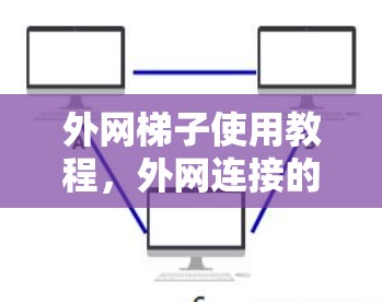 外网梯子使用教程，外网连接的正确方法