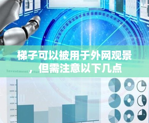 梯子可以被用于外网观景，但需注意以下几点
