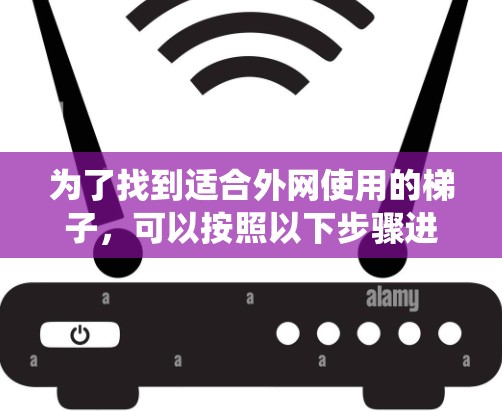 为了找到适合外网使用的梯子，可以按照以下步骤进行系统化地搜索和选择