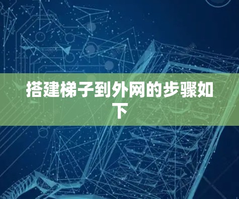 搭建梯子到外网的步骤如下
