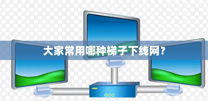 大家常用哪种梯子下线网？