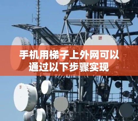 手机用梯子上外网可以通过以下步骤实现