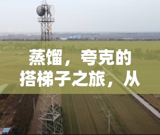 蒸馏，夸克的搭梯子之旅，从粒子物理到网络连接