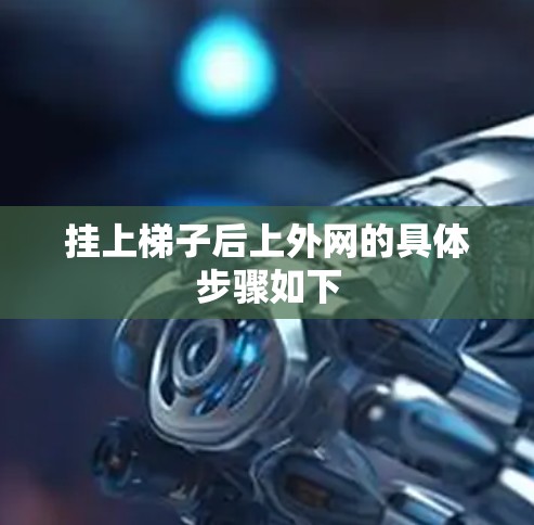 挂上梯子后上外网的具体步骤如下