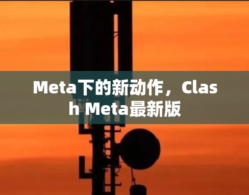 Meta下的新动作,Clash Meta最新版 Meta下的新动作,Clash Meta最新版
