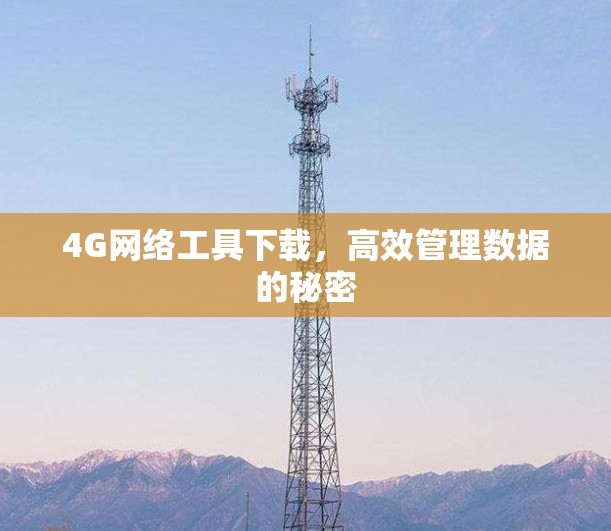 4G网络工具下载,高效管理数据的秘密 4G网络工具下载,高效管理数据的秘密