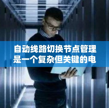 自动线路切换节点管理是一个复杂但关键的电力系统管理流程，涉及多个方面以确保电力系统稳定运行。以下是对该主题的详细总结和扩展