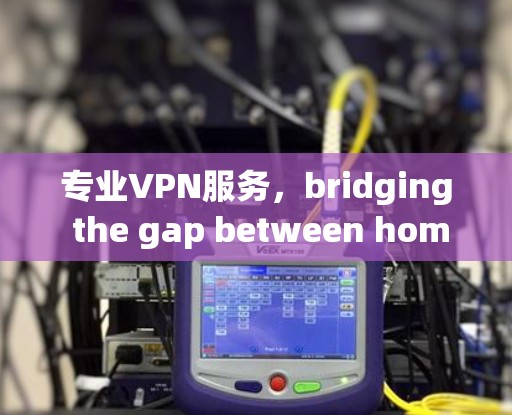 专业VPN服务，bridging the gap between home and the world