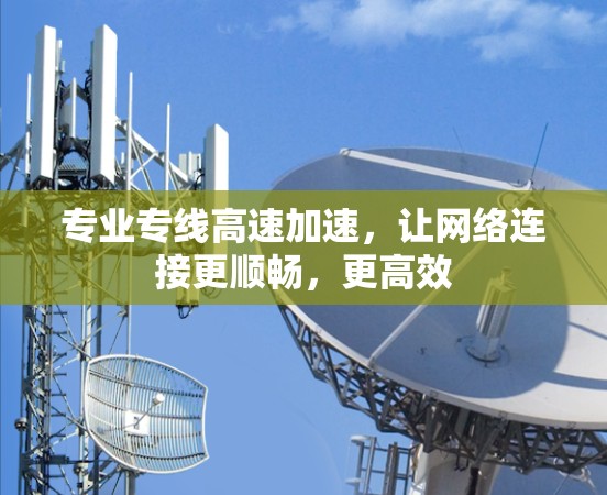 专业专线高速加速，让网络连接更顺畅，更高效