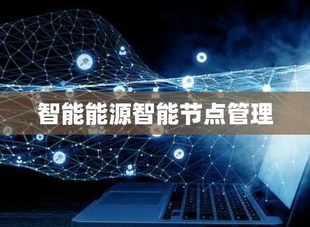 智能能源智能节点管理