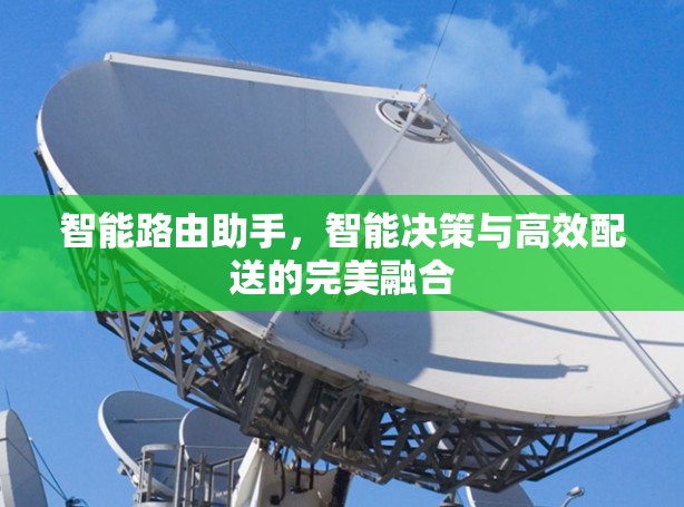 智能路由助手，智能决策与高效配送的完美融合