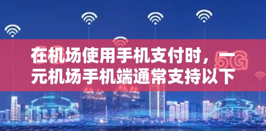 在机场使用手机支付时，一元机场手机端通常支持以下几种方式