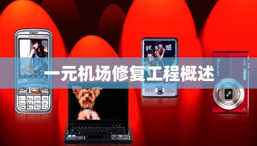 一元机场修复工程概述