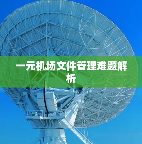 一元机场文件管理难题解析 一元机场文件管理难题解析