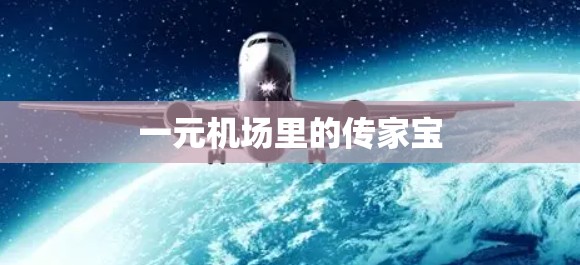 一元机场里的传家宝 一元机场里的传家宝